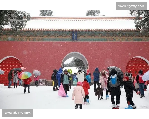 极端天气下滑雪意外频发安全防护亟待加强